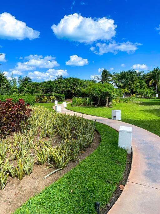 Punta Me Luxury Apartments Ocean View & Beach Front In Amara Канкун Экстерьер фото